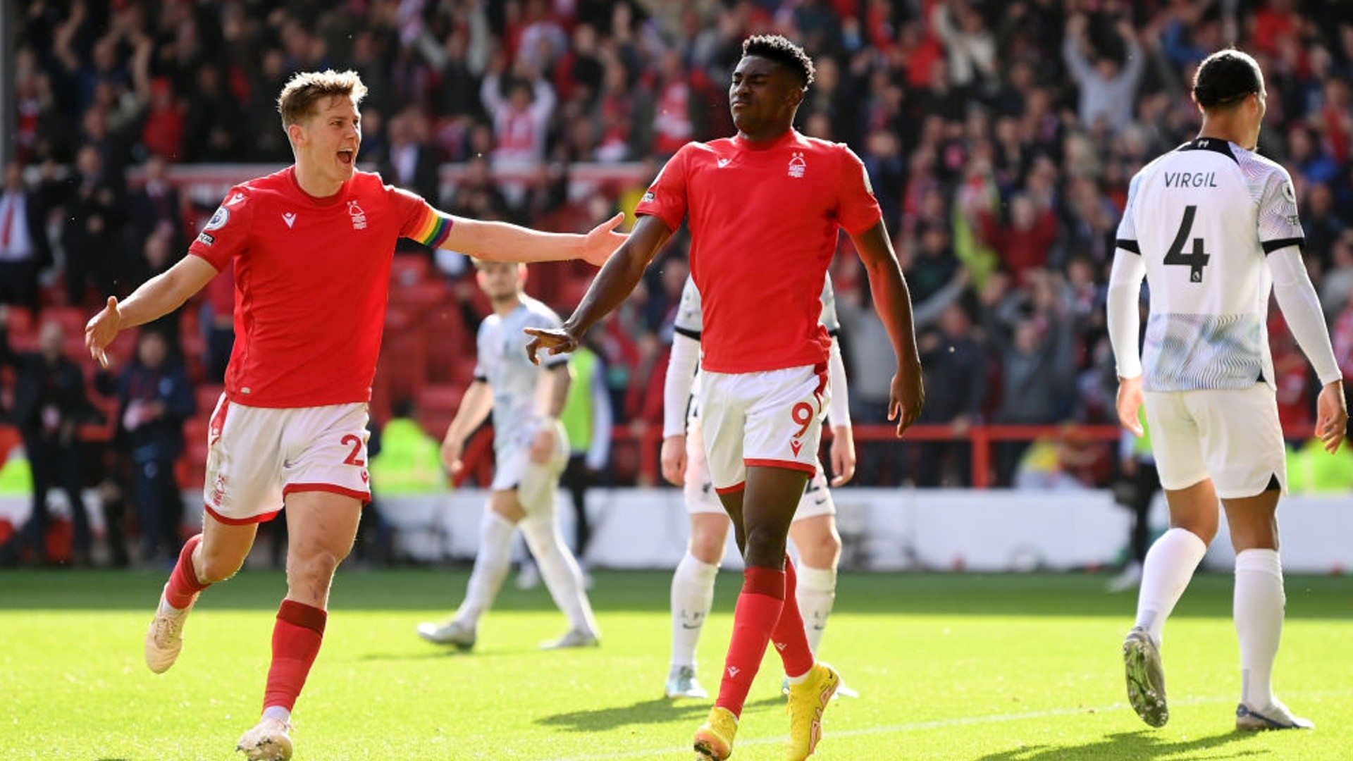 体化和多元 体化和多元